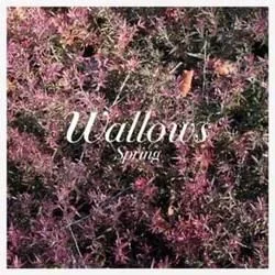 These Days Chords by Wallows