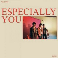 Especially You Bass tabs by Wallows
