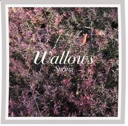 Ground Chords by Wallows