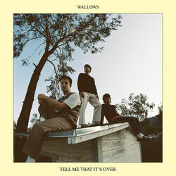 Guitar Romantic Search Adventure by Wallows