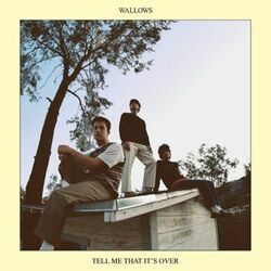 Marvelous Bass tabs by Wallows