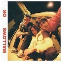 Ok Ukulele Chords by Wallows