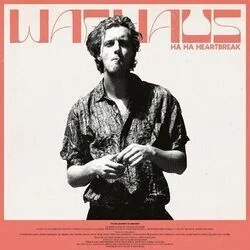 I'll Miss You Baby Chords by Warhaus
