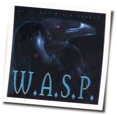 Sunset And Babylon Chords by W.A.S.P.