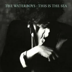 This Is The Sea Live Chords by The Waterboys