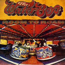 A Life Of Sundays by The Waterboys