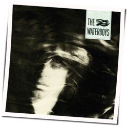 Something Fantastic by The Waterboys