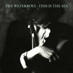 This Is The Sea Live by The Waterboys