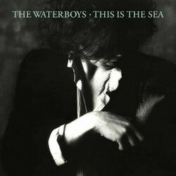 This Is The Sea Live Chords by The Waterboys
