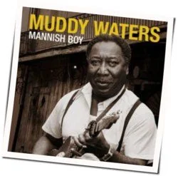 Mannish Boy Tab by Muddy Waters