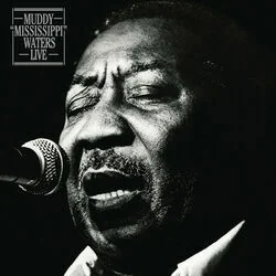 Nine Below Zero Chords by Muddy Waters