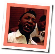 Rollin Stone Tab by Muddy Waters