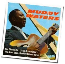 You Shook Me Chords by Muddy Waters