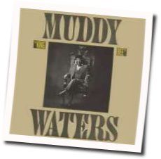 Champagne And Reefer by Muddy Waters