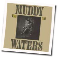 Champagne And Reefer Tab by Muddy Waters
