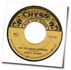 Got My Mojo Workin Chords by Muddy Waters