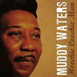 I Just Want To Make Love To You by Muddy Waters