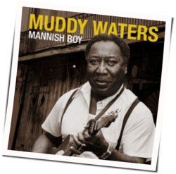 Mannish Boy Chords by Muddy Waters