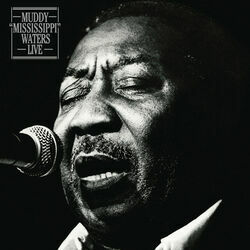 Nine Below Zero Chords by Muddy Waters