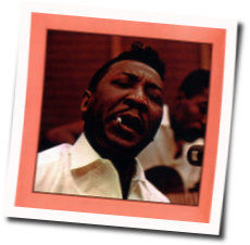 Rollin Stone Tab by Muddy Waters