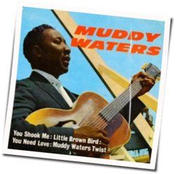 You Shook Me Chords by Muddy Waters
