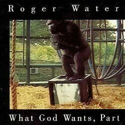 What God Wants Pt I Intro Tab by Roger Waters