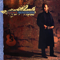 When A Fool Learns Chords by Gene Watson