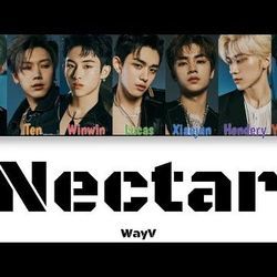 Nectar Chords by Wayv (为神v)