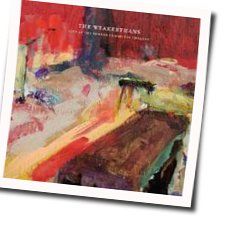 The Reasons Chords by The Weakerthans
