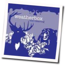 The Clearing Tab by Weatherbox