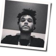 Shameless Chords by The Weeknd