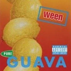Eye 2 The Sky Chords by Ween