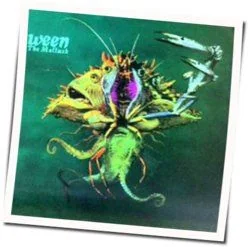 The Golden Eel Chords by Ween