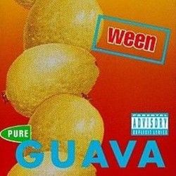 A Tear For Eddie Tabs by Ween
