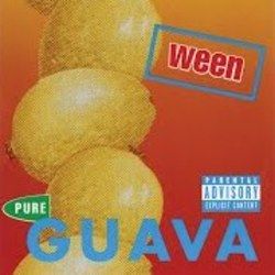 Eye 2 The Sky by Ween