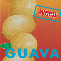 Hey Fat Boy Asshole Bass Tab by Ween