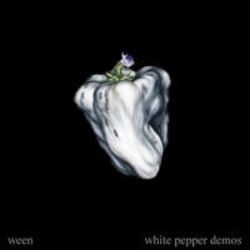 Shes Your Baby Chords by Ween