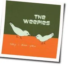 Not Your Year Chords by The Weepies