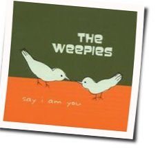 Not Your Year Chords by The Weepies