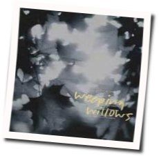 Call Me Anything Acoustic Tab by Weeping Willows