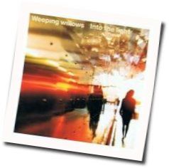 Into The Light Chords by Weeping Willows