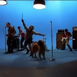 Undone The Sweater Song Bass Tab by Weezer