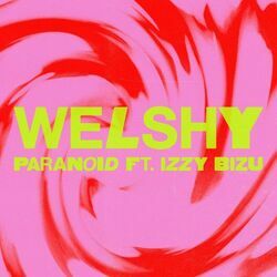 Paranoid Chords by Welshy