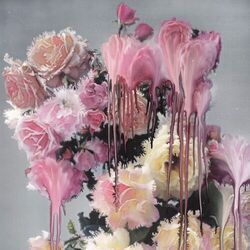 Say You Will Chords by Kanye West