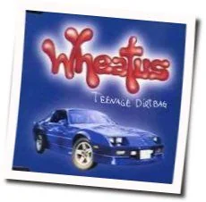 Teenage Dirtbag Chords by Wheatus