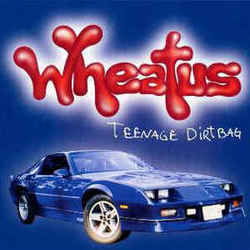 Teenage Dirtbag  by Wheatus