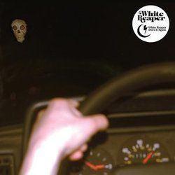 Daisies Tab by White Reaper