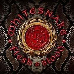 Trouble Is Your Middle Name Chords by Whitesnake