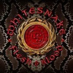 When I Think Of You (color Me Blue) Chords by Whitesnake