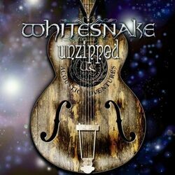 All The Time In The World Chords by Whitesnake